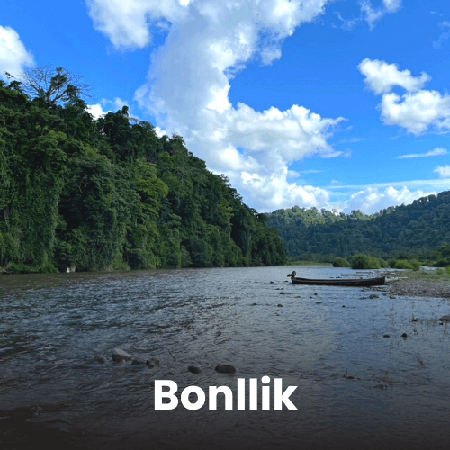 Bonllik (1)