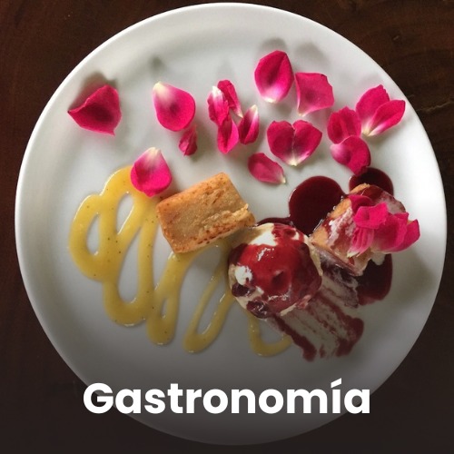 Gastronomía portada