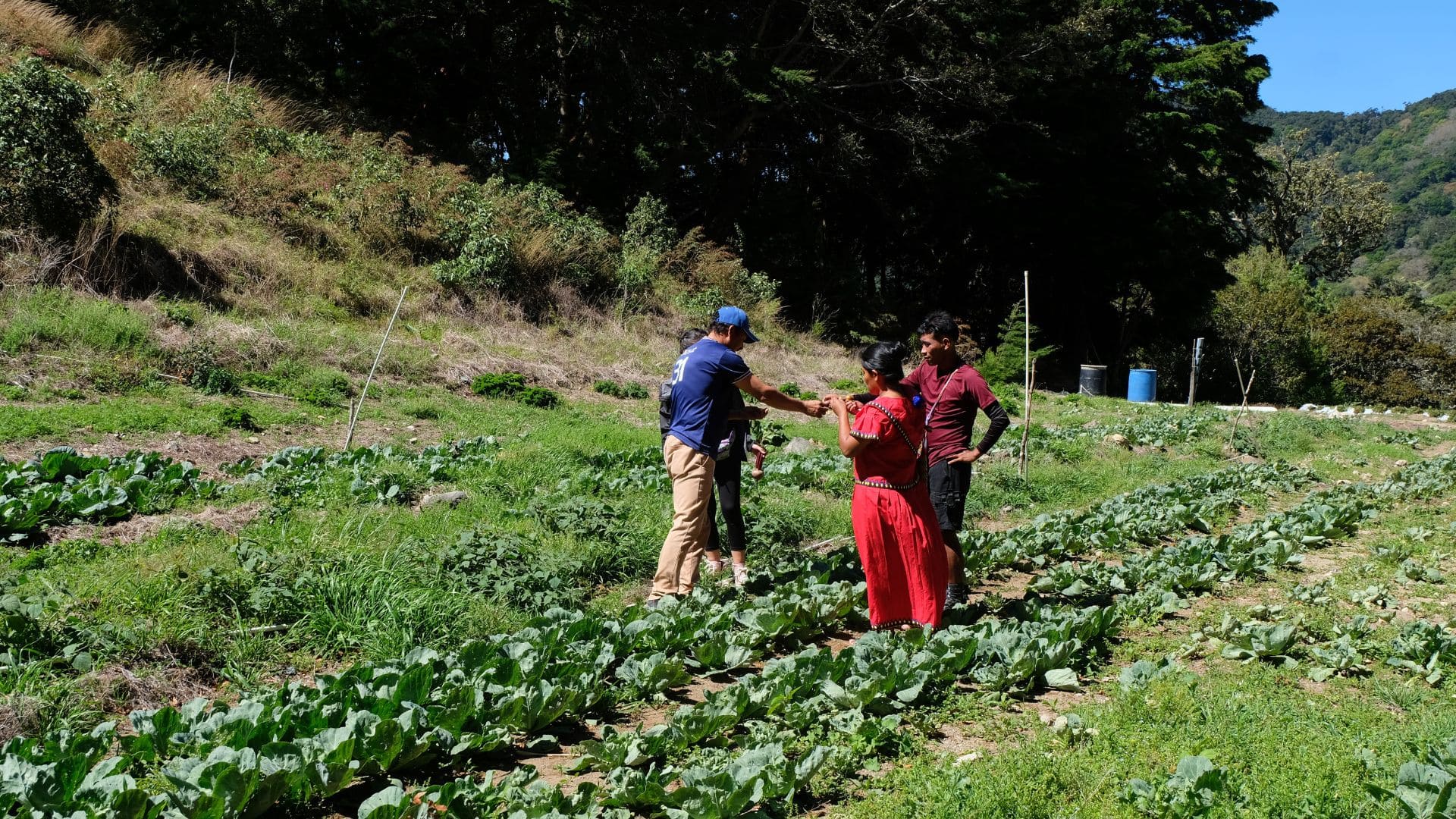 Banner de Voluntariado en Santa Fe del Darién: Naturaleza, Comunidad y Espiritualidad
