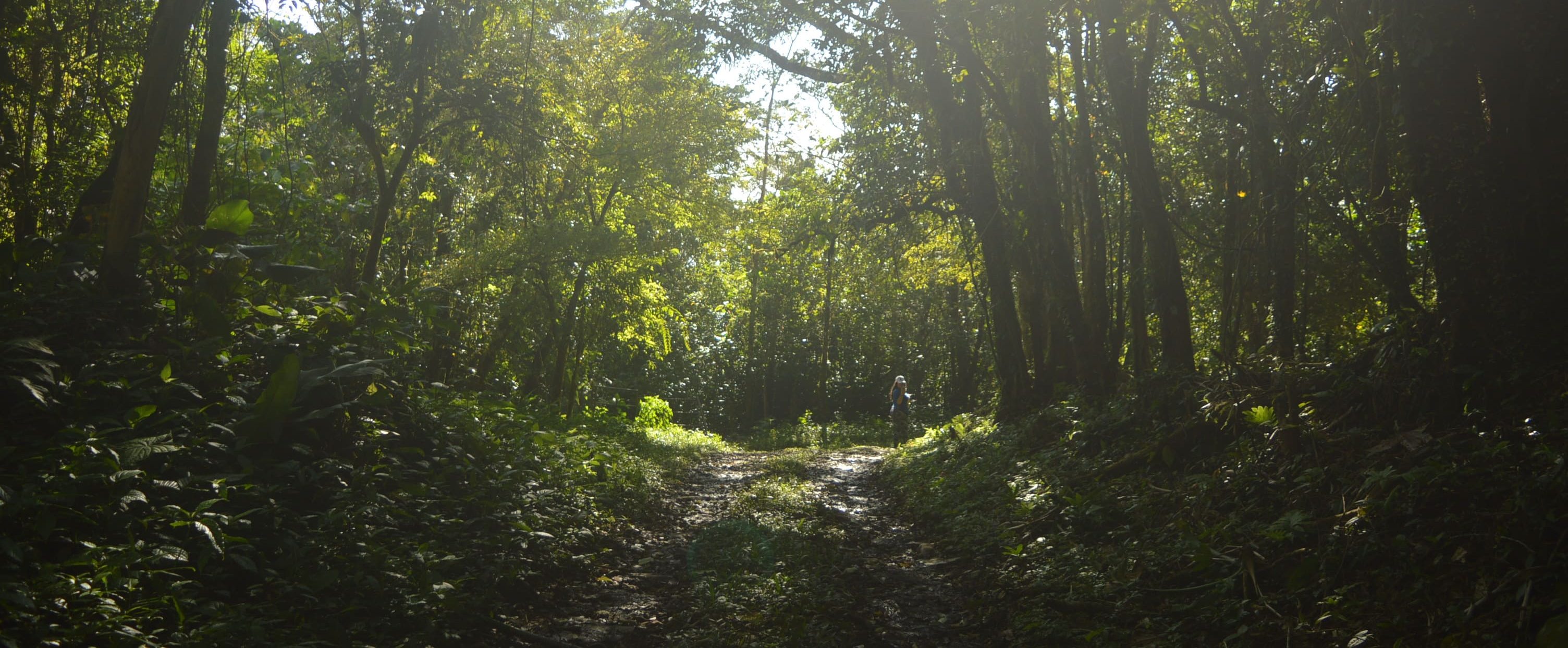 Banner de Exploración en el Parque Nacional Santa Fé