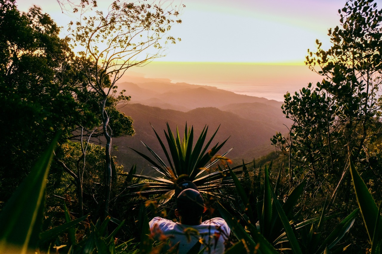 Banner de Expedición al Parque Nacional Cerro Hoya