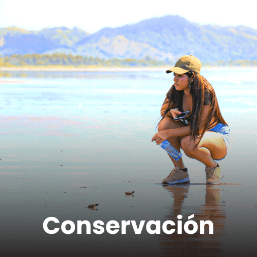 Sostur Conservación