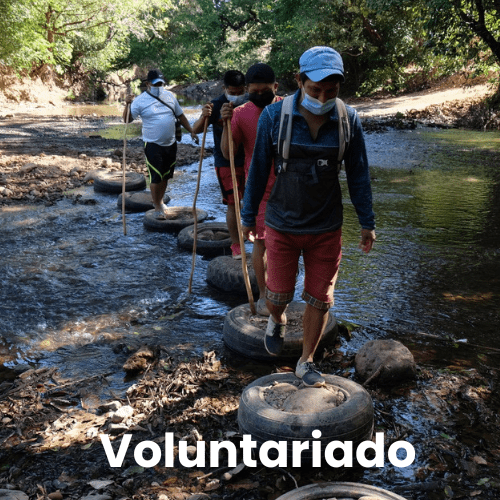 Sostur Voluntariado